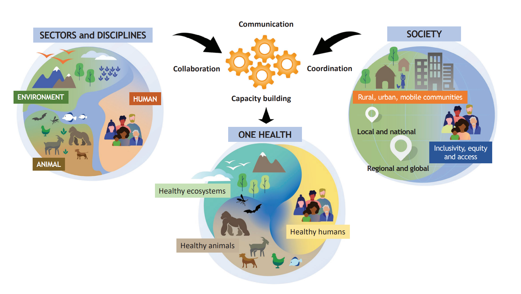 OHHLEP's definition of “One Health” - International Alliance against Health  Risks in Wildlife Trade